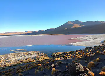 Reserva Nacional de Fauna Andina Eduardo Avaroa.
