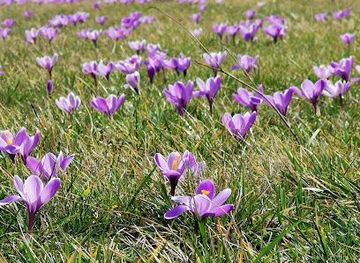 poland/krakow/attraction/plac-centralny-imienia-ronalda-reagana