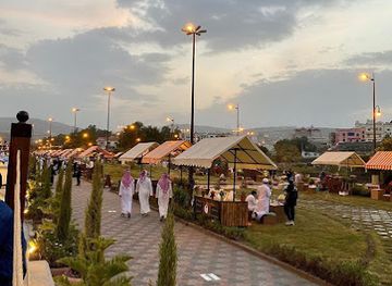 saudi-arabia/al-soudah-park/attraction/damside-park