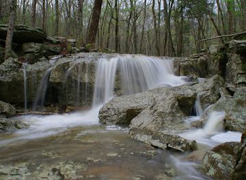 alabama/huntsville/attraction/land-trust-of-north-alabama-monte-sano-nature-preserve