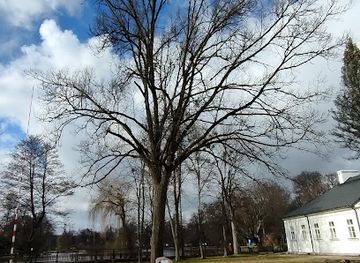 poland/roztocze-national-park/attraction/dab-zdzislaw