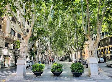 spain/palma-de-mallorca/attraction/la-rambla