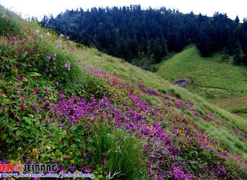 nepal/rapti-zone/attraction/jaljala-tourism-area