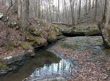 arkansas/ouachita-mountains/attraction/lake-ouachita-vista-trail-lovit-east