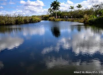 florida/big-cypress-national-preserve/attraction/ernest-f-coe-visitor-center