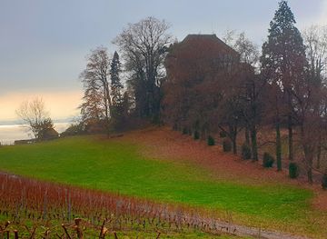switzerland/montreux/attraction/cour-du-chateau-du-chatelard