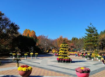 south-korea/chuncheon/attraction/gangwon-forest-museum
