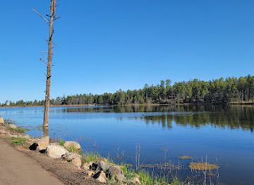 arizona/white-mountains/attraction/woodland-lake-park
