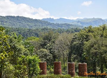 sri-lanka/matale-district/attraction/national-spice-garden-of-sri-lanka