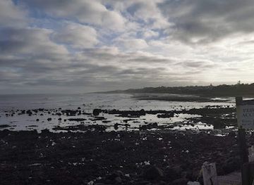 new-zealand/taranaki/attraction/pig-out-point