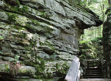 west-virginia/greenbrier-river-trail/attraction/beartown-state-park-boardwalk