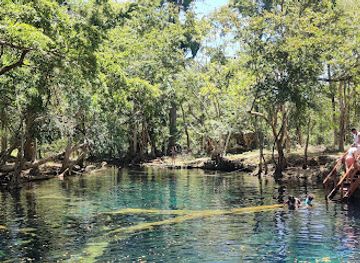 dominican-republic/punta-cana-bavaro/attraction/reserva-natural-hoyo-claro