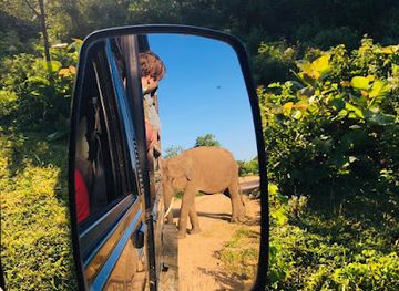 sri-lanka/udawalawe-national-park/attraction/udawalawe-national-park-shantha-safari