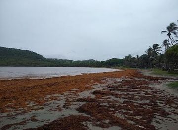 saint-lucia/micoud/attraction/cas-en-bas-beach