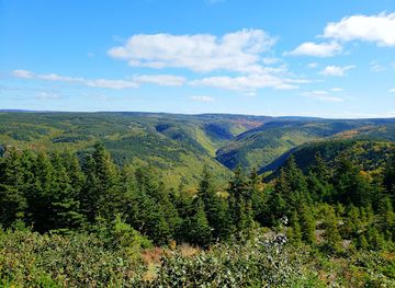 canada/cape-breton-island/attraction/bog-trailhead