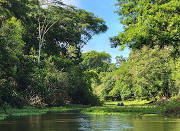 peru/loreto/attraction/area-de-conservacion-regional-comunal-tamshiyacu-tahuayo