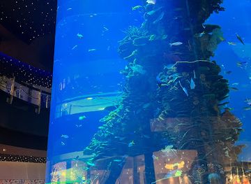 bahrain/al-areen-wildlife-park/attraction/giant-screen