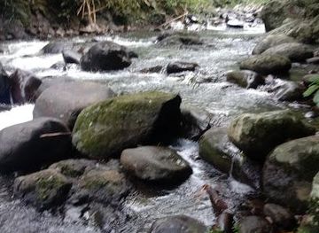 indonesia/bali/attraction/belimbing