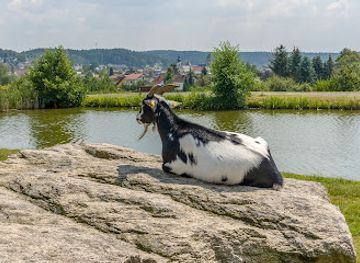 austria/weinviertel/attraction/die-kasemacherwelt-top-ausflugsziel-in-niederosterreich