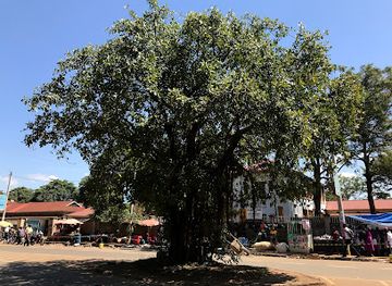 kenya/kisumu/attraction/walter-edwin-owen-memorial-park