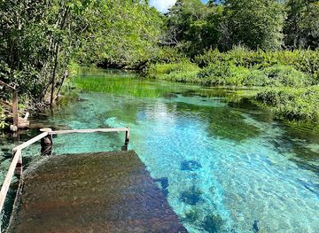 brazil/bonito/attraction/segunda-do-nascente-rio-sucuri