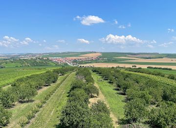 czechia/palava/attraction/slunecna-lookout