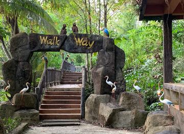 thailand/similan-islands/attraction/khlong-sang-ne