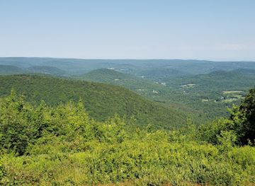 massachusetts/mount-greylock-state-reservation/attraction/hopkins-memorial-forest