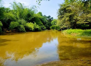 ghana/lake-volta/attraction/society-kudzra-bamboo-river