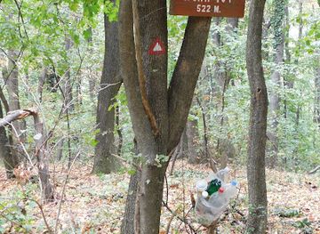 serbia/fruska-gora-national-park/attraction/isin-cot