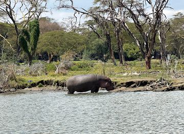 kenya/mount-longonot/attraction/shang-chuan-dian