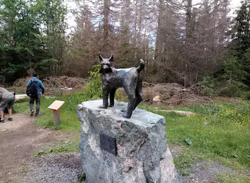 Luchs Denkmal Torfhausmoor
