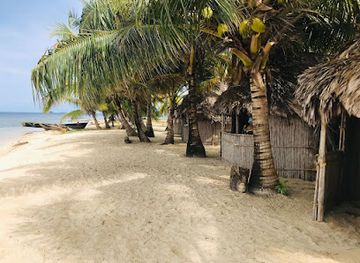 panama/guna-yala/attraction/abya-yala-expedition-turismo-tours