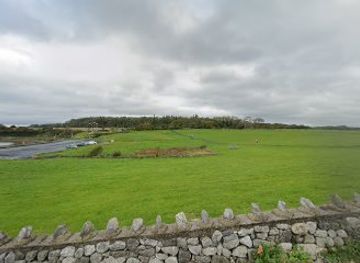 ireland/the-burren/attraction/the-burren-wildflower-relocation-project