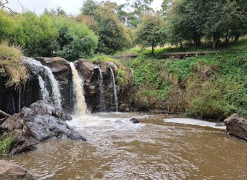 australia/gippsland/attraction/narracan-falls