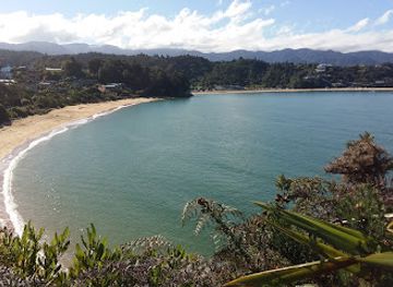 new-zealand/abel-tasman-national-park/attraction/kaiteriteri-mountain-bike-park