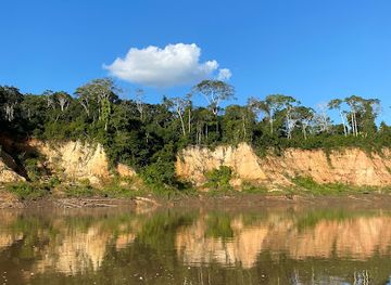 peru/tambopata-national-reserve/attraction/collpa-chuncho-macaw-clay-lick
