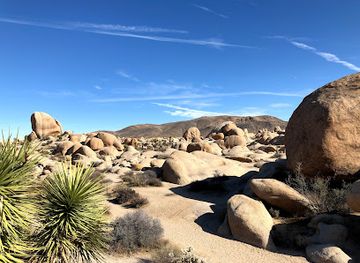 california/joshua-tree-national-park/attraction/arch-rock