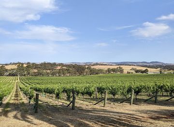 australia/barossa-valley/attraction/avenue-of-palms