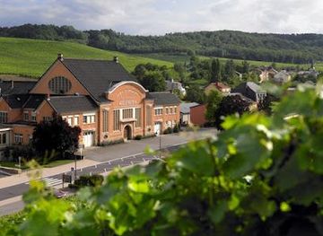 luxembourg/mamer-valley/attraction/domaines-vinsmoselle-caves-des-vignerons-wellenstein