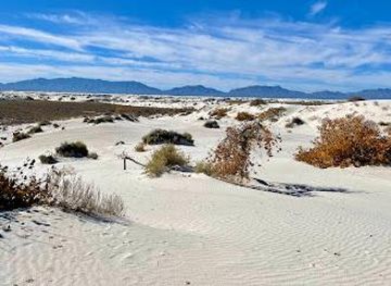 new-mexico/white-sands-national-park/attraction/dune-life-nature-trailhead