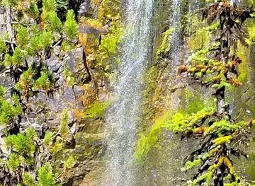 oregon/cascade-lakes-scenic-byway/attraction/crater-creek-falls