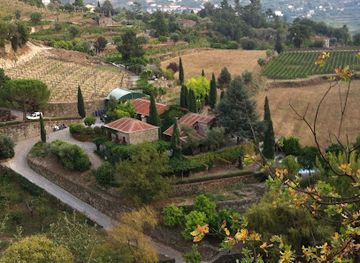 portugal/douro-valley/attraction/quinta-de-covela