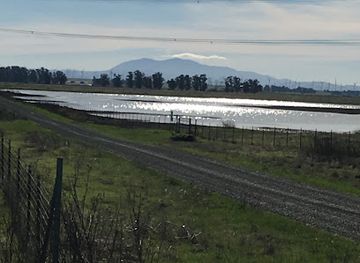 california/san-joaquin-valley/attraction/jepson-prairie-preserve