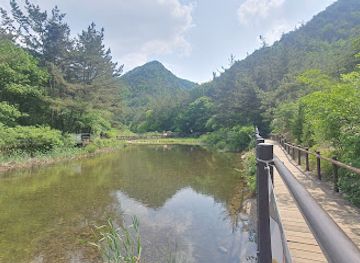 south-korea/daejeon/attraction/kyeryongsan-sutonggol-district-national-park