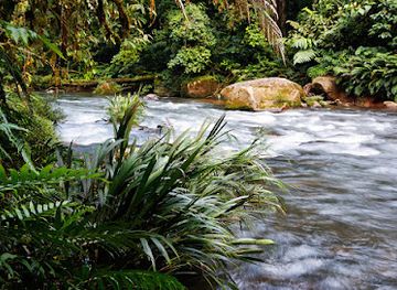ecuador/pastaza-region/attraction/zanja-arajuno-centro-ecologico
