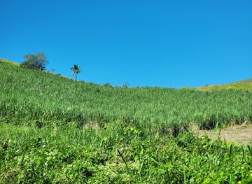 fiji/rakiraki/attraction/volivoli-beach