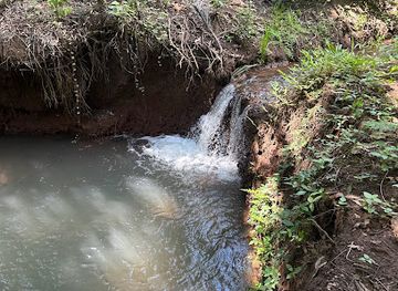 tanzania/moshi/attraction/milk-spring-water