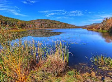 new-york/hunter-mountain/attraction/franklinton-vlaie-wildlife-management-area