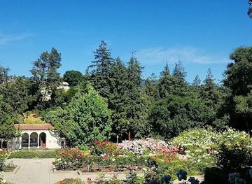 california/oakland/attraction/morcom-rose-garden
